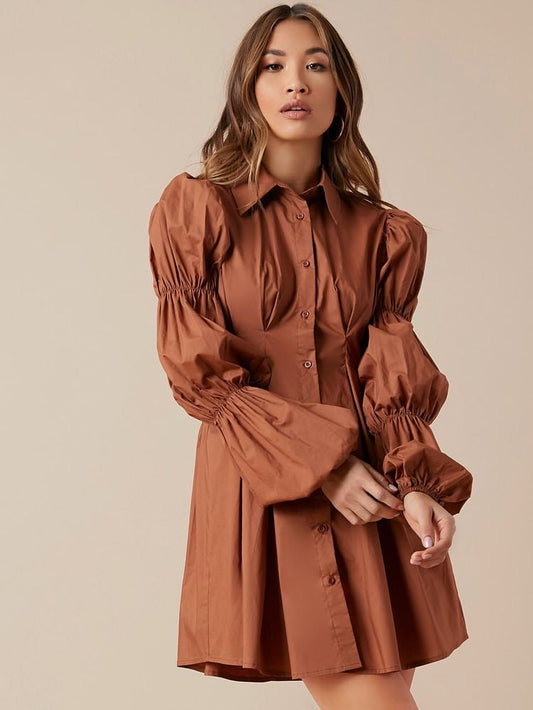 Drama in Brown Dress 